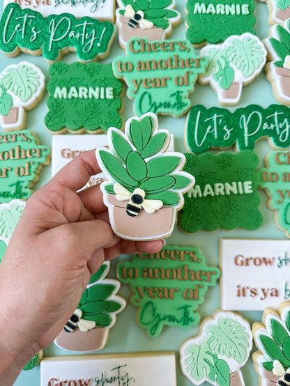 Succulent in a pot Cookie Cutter and Stamp stl file